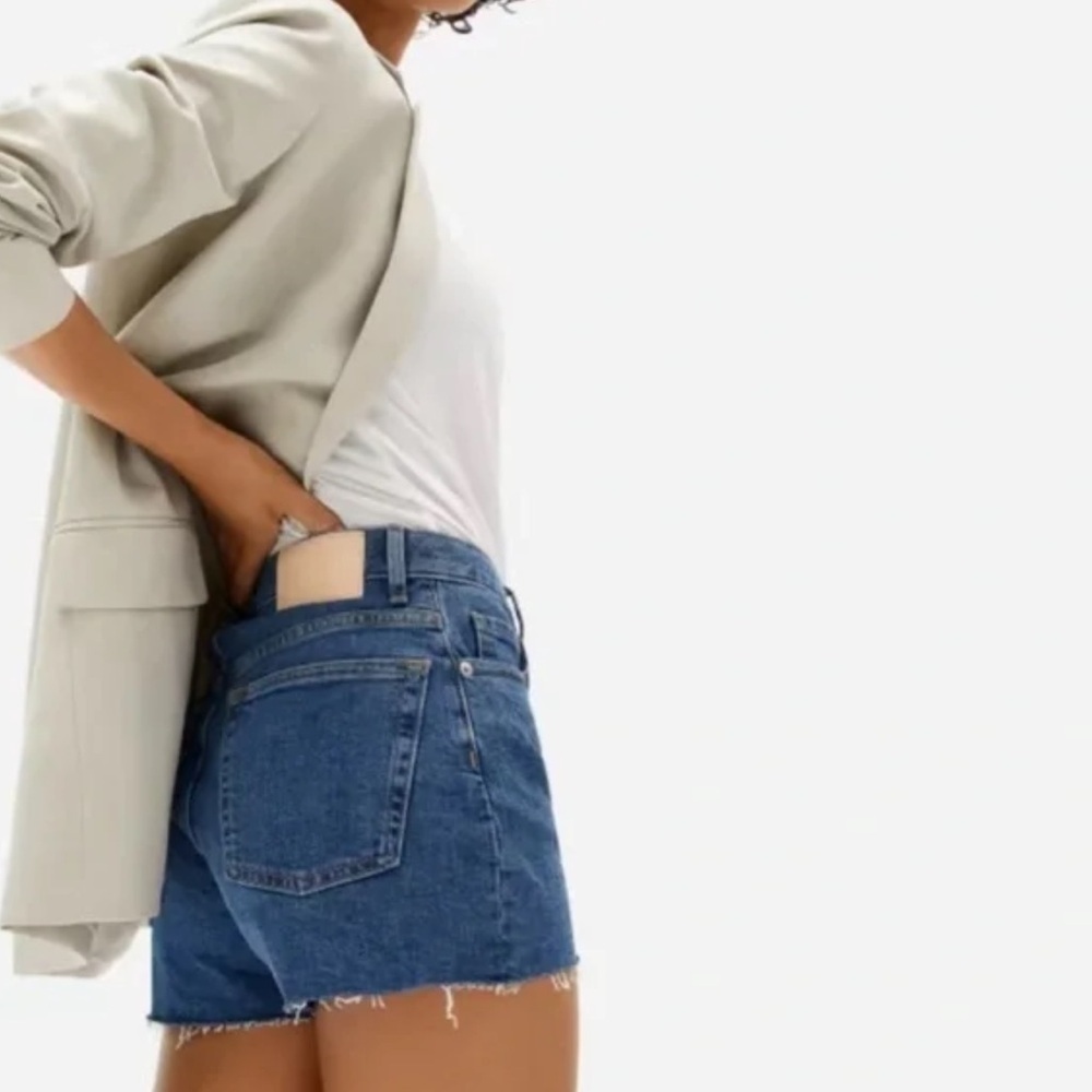 Everlane The Cheeky Short Denim Cutoff Jean Shorts Size 24 Distressed Raw Hem